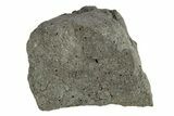 Chelyabinsk Meteorite ( g) - Witnessed Fall #263528-2